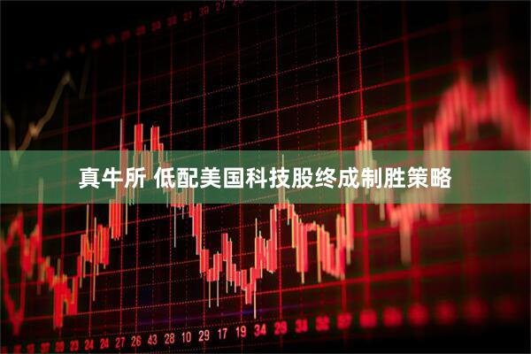 真牛所 低配美国科技股终成制胜策略