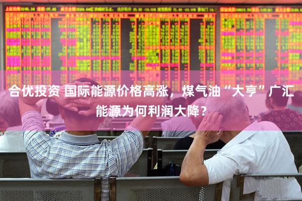 合优投资 国际能源价格高涨，煤气油“大亨”广汇能源为何利润大降？