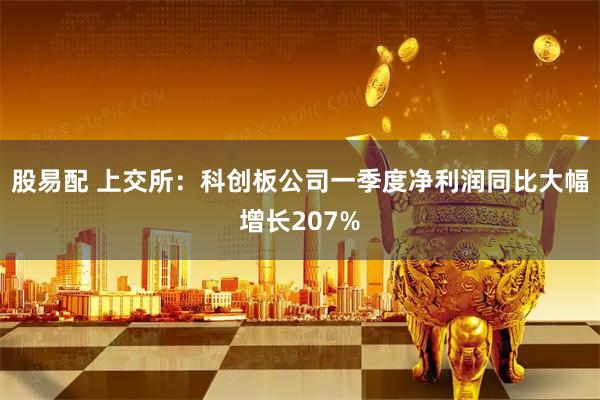 股易配 上交所：科创板公司一季度净利润同比大幅增长207%