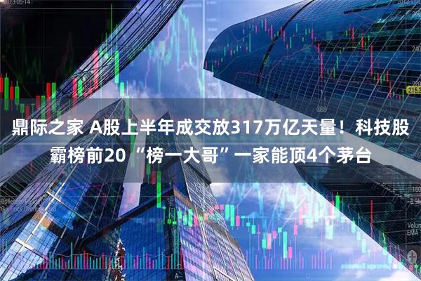 鼎际之家 A股上半年成交放317万亿天量！科技股霸榜前20 “榜一大哥”一家能顶4个茅台