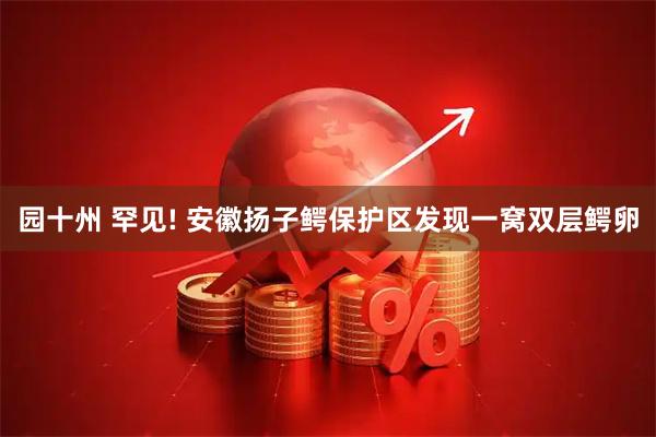 园十州 罕见! 安徽扬子鳄保护区发现一窝双层鳄卵