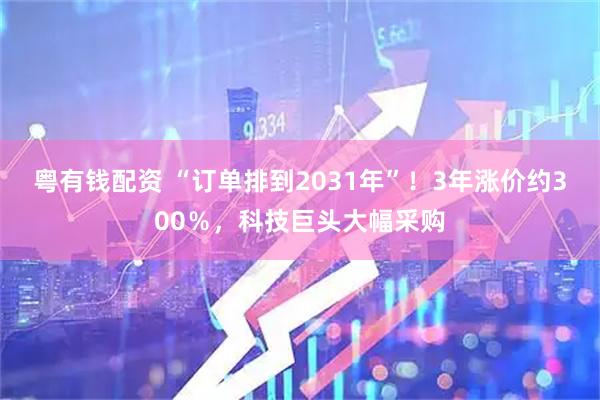粤有钱配资 “订单排到2031年”！3年涨价约300％，科技巨头大幅采购
