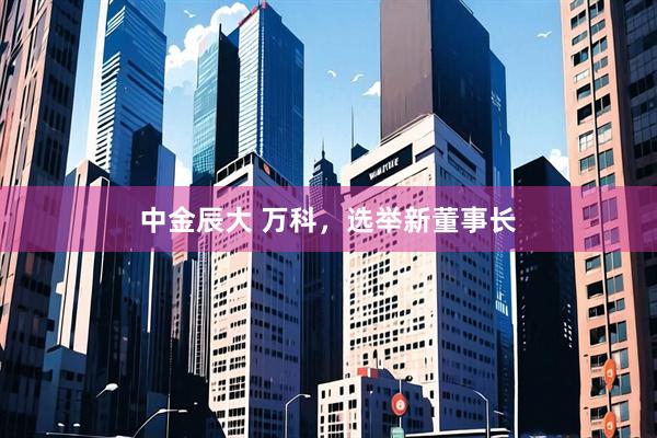 中金辰大 万科，选举新董事长