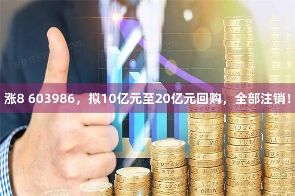 涨8 603986，拟10亿元至20亿元回购，全部注销！
