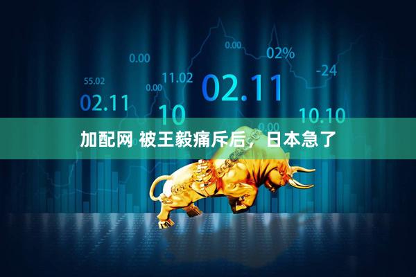加配网 被王毅痛斥后，日本急了