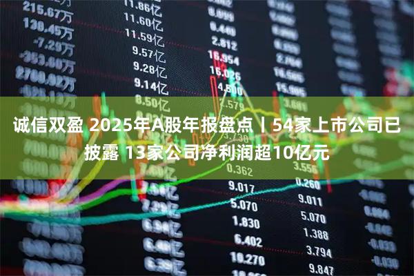 诚信双盈 2025年A股年报盘点丨54家上市公司已披露 13家公司净利润超10亿元