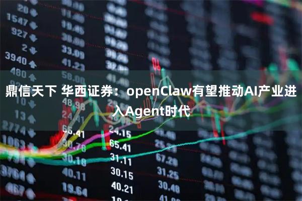 鼎信天下 华西证券：openClaw有望推动AI产业进入Agent时代