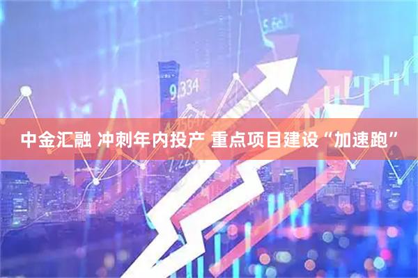 中金汇融 冲刺年内投产 重点项目建设“加速跑”