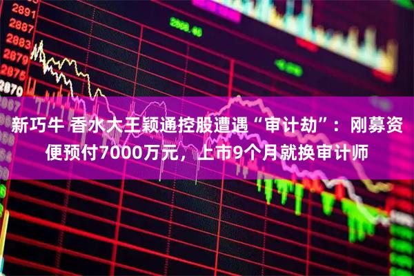 新巧牛 香水大王颖通控股遭遇“审计劫”：刚募资便预付7000万元，上市9个月就换审计师