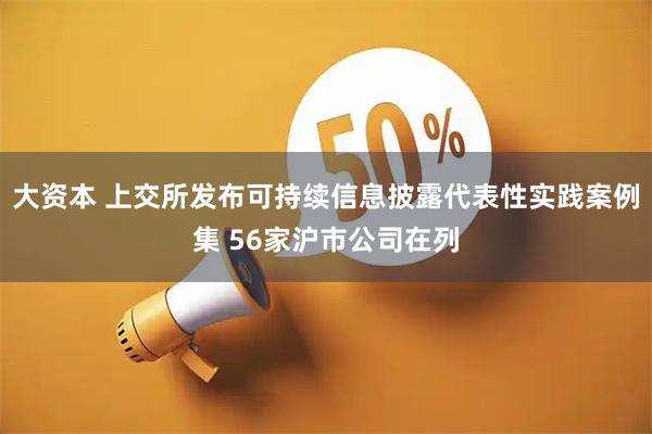 大资本 上交所发布可持续信息披露代表性实践案例集 56家沪市公司在列