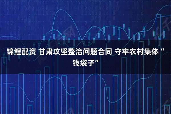锦鲤配资 甘肃攻坚整治问题合同 守牢农村集体“钱袋子”