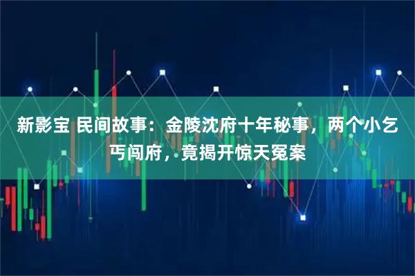 新影宝 民间故事：金陵沈府十年秘事，两个小乞丐闯府，竟揭开惊天冤案