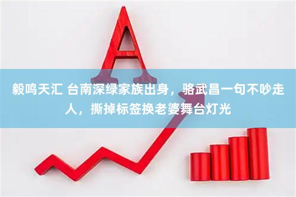 毅鸣天汇 台南深绿家族出身，骆武昌一句不吵走人，撕掉标签换老婆舞台灯光