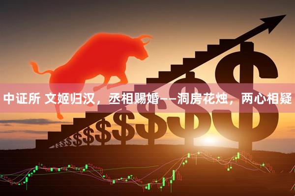 中证所 文姬归汉，丞相赐婚——洞房花烛，两心相疑