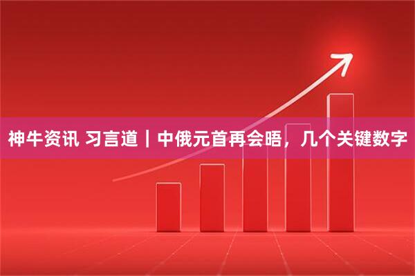 神牛资讯 习言道｜中俄元首再会晤，几个关键数字