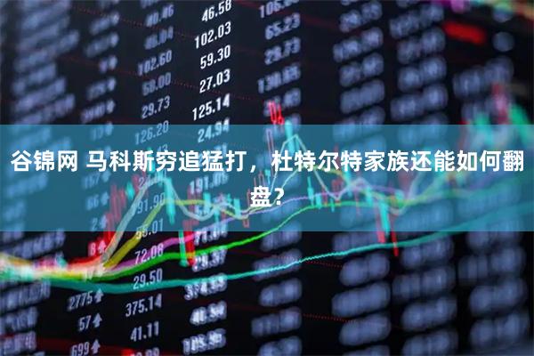 谷锦网 马科斯穷追猛打，杜特尔特家族还能如何翻盘？