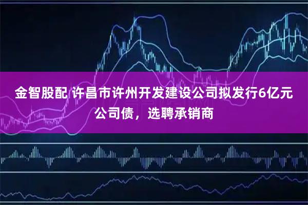 金智股配 许昌市许州开发建设公司拟发行6亿元公司债，选聘承销商
