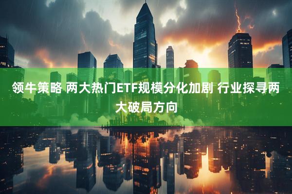 领牛策略 两大热门ETF规模分化加剧 行业探寻两大破局方向
