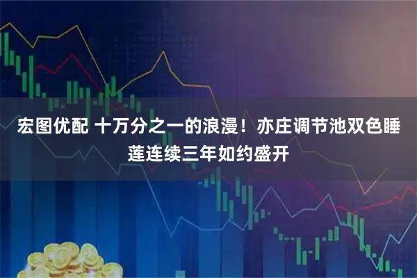 宏图优配 十万分之一的浪漫！亦庄调节池双色睡莲连续三年如约盛开
